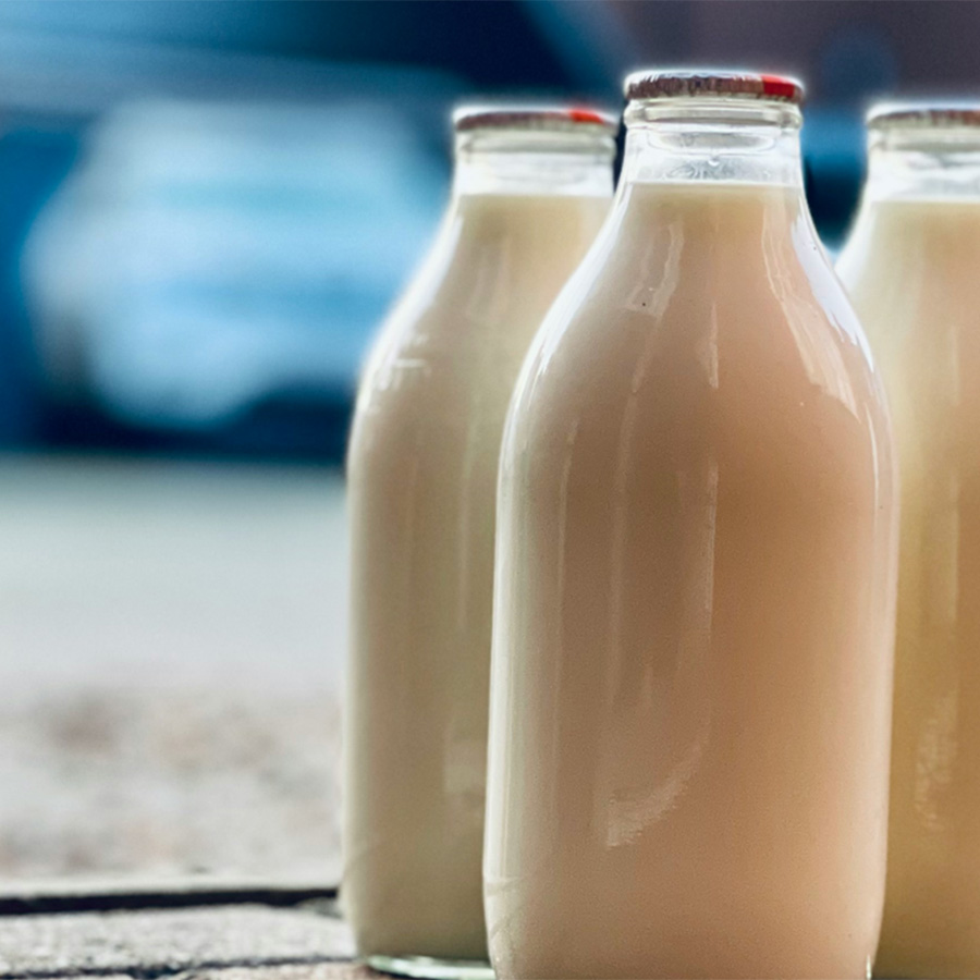 Milk900x900